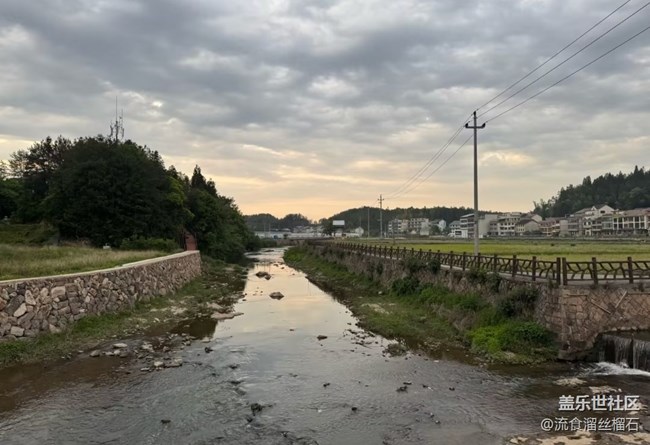 【自駕所見】一路游
