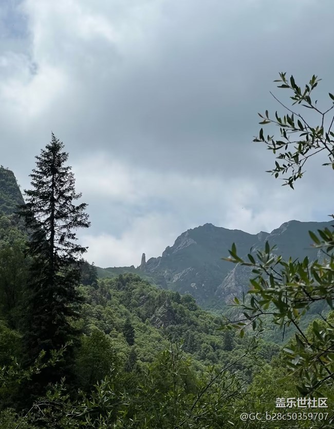 【自駕所見】自然美景