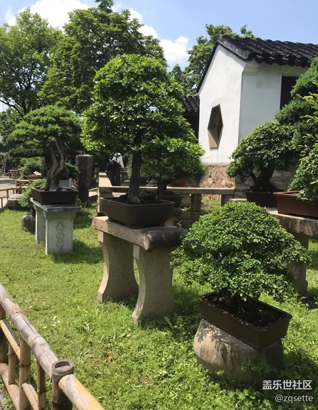 【自駕所見】留園