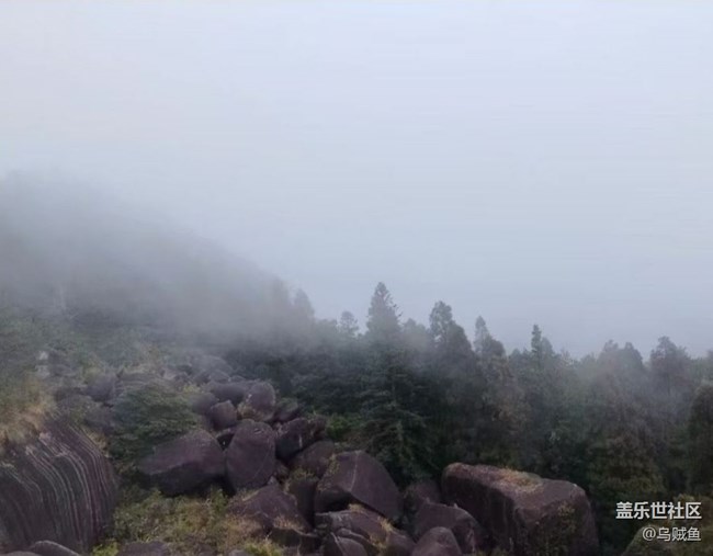 【自駕所見】游山玩水