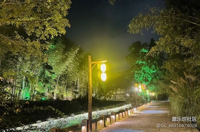 【自駕所見】夜景