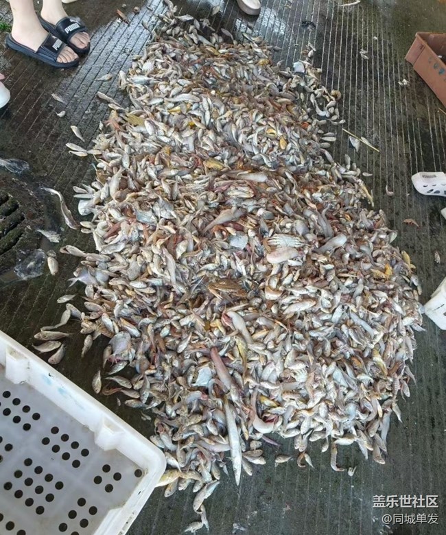 【一口入夏】海鮮大餐