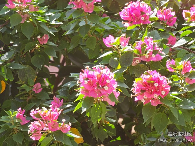【風(fēng)暖赴新星程】初夏陽(yáng)光