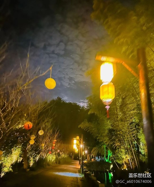 【自駕所見】夜景
