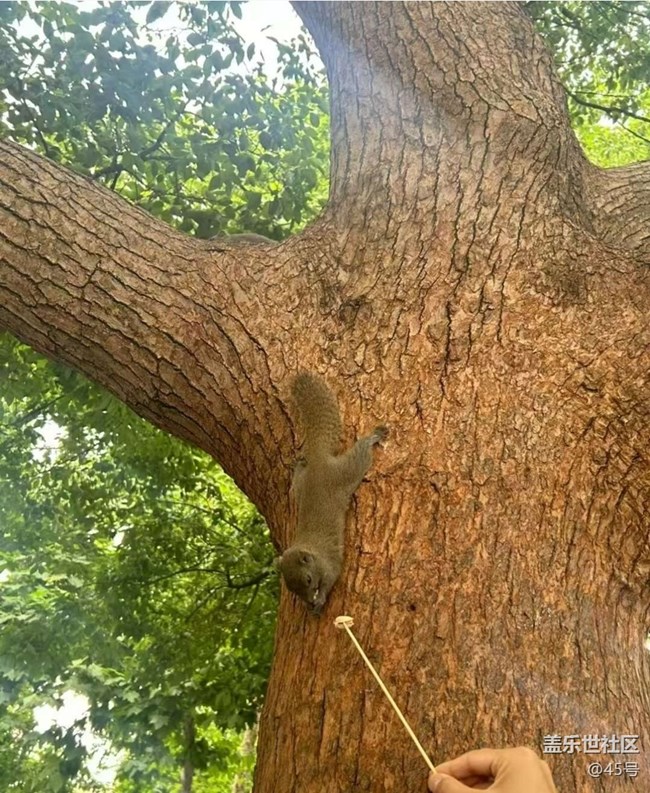 【自駕所見】西湖走一遭