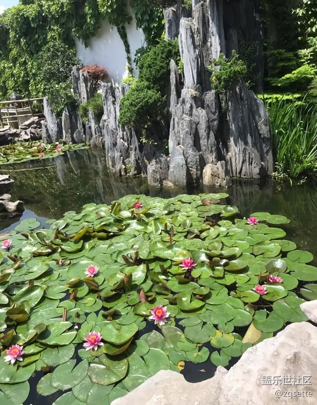 【自駕所見】留園