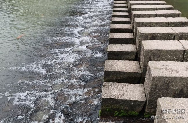 【自駕所見】廊橋