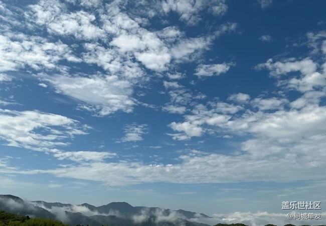 【自駕所見】山路難行