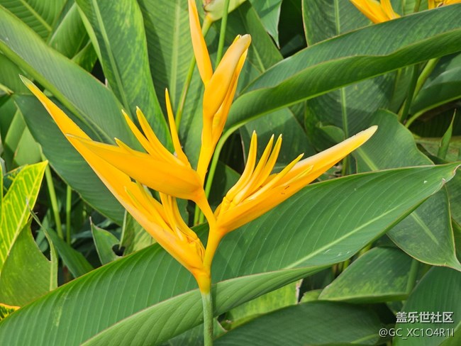 【風(fēng)暖赴新星程】5月游園