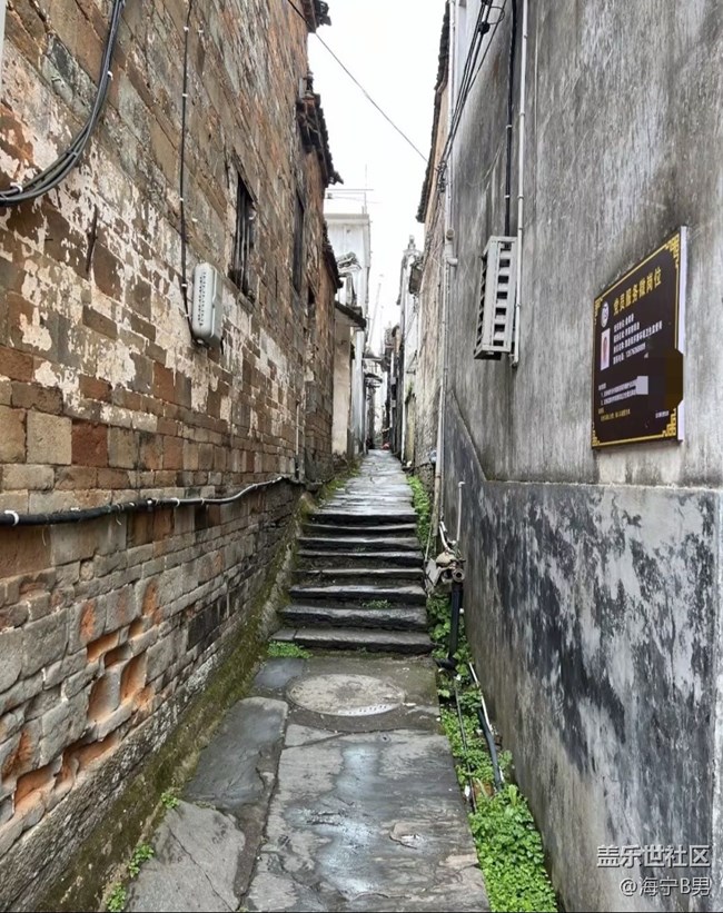 【自駕所見】旅途所見