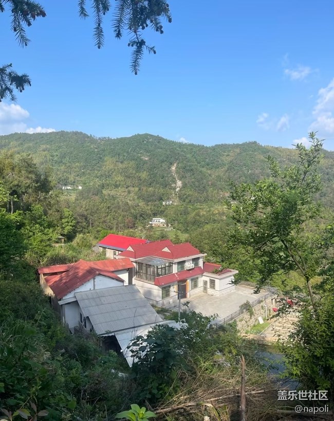 【自駕所見】盤山路