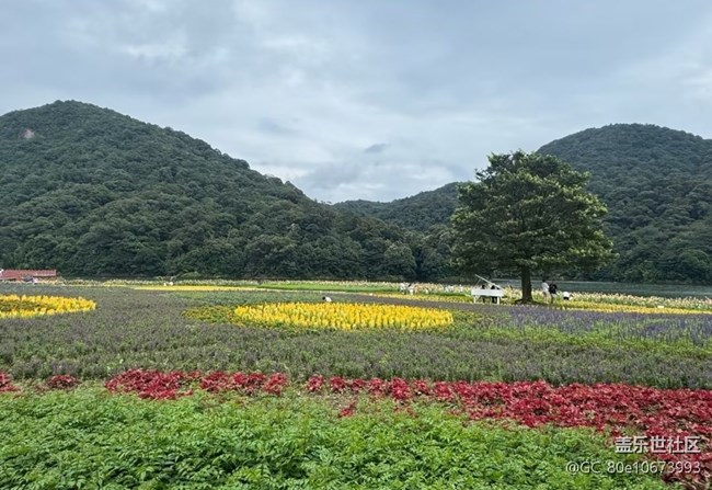 【自駕所見】山路十八彎