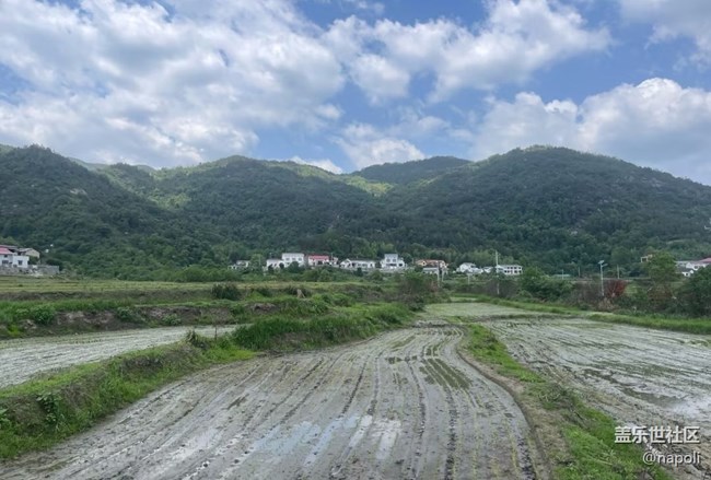 【自駕所見】盤山路