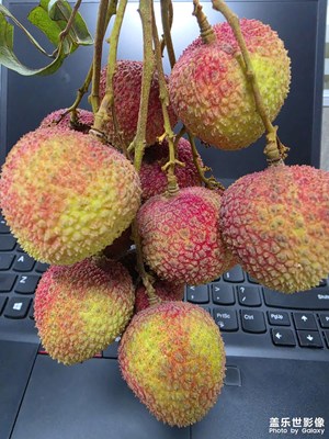 荔枝