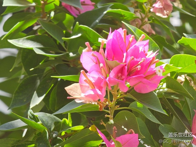 【風(fēng)暖赴新星程】初夏陽(yáng)光