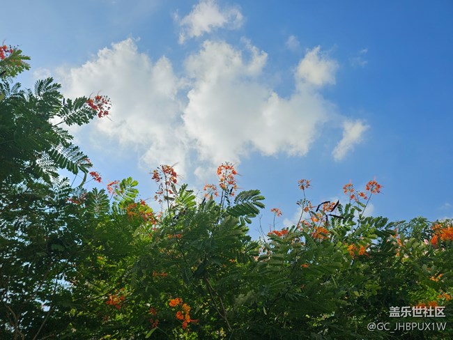 【風(fēng)暖赴新星程】初夏陽(yáng)光