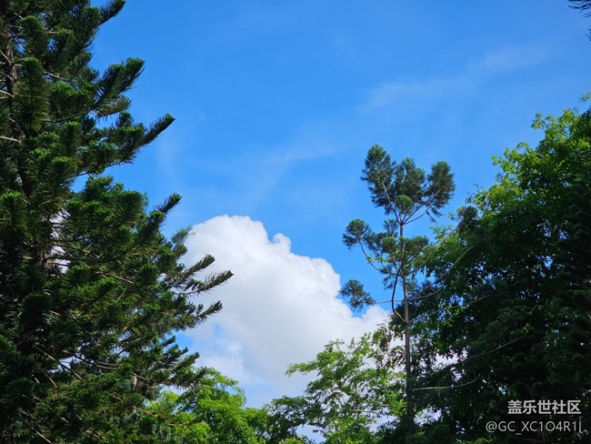 【風(fēng)暖赴新星程】5月游園