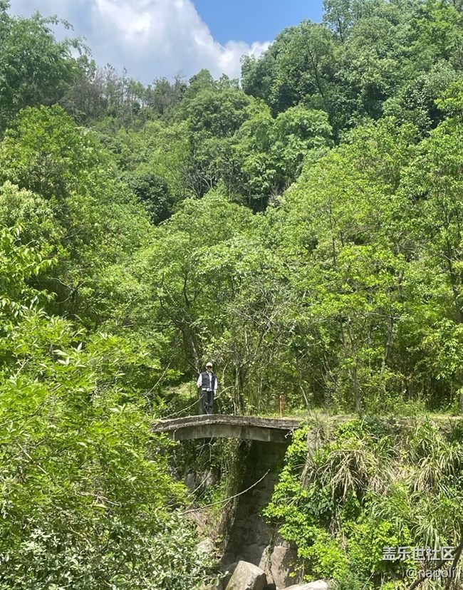 【自駕所見】盤山路