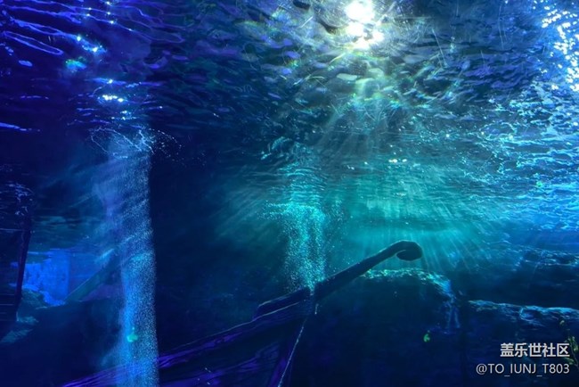 【自駕所見】海洋館