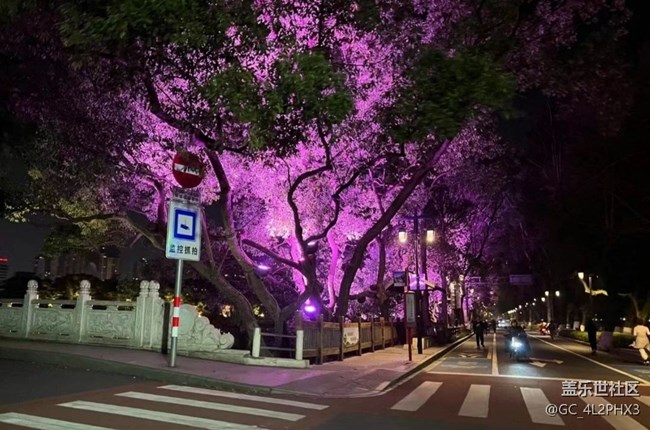 【自駕所見】夜市