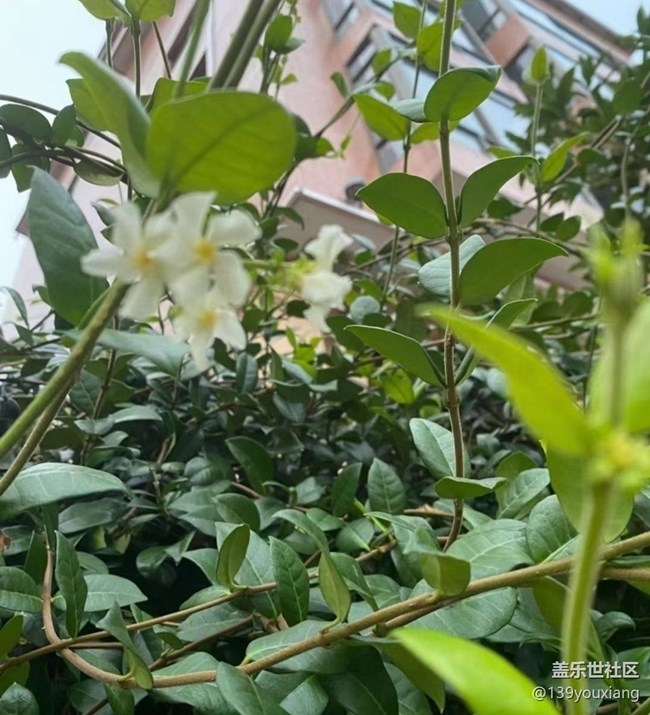 【自駕所見】說走就走的旅行