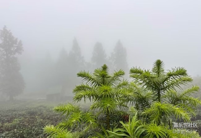 【自駕所見】山頂