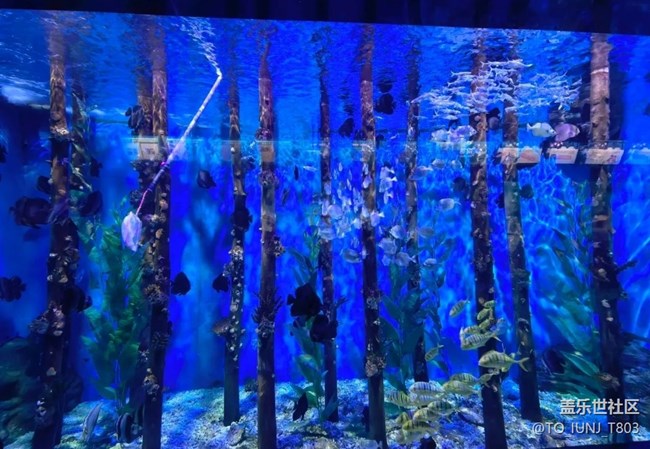 【自駕所見】海洋館