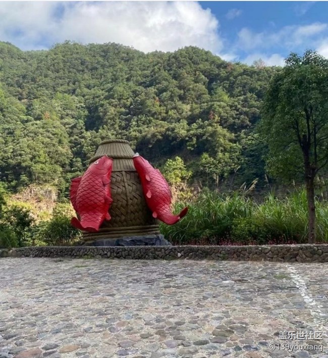 【自駕所見】說走就走的旅行