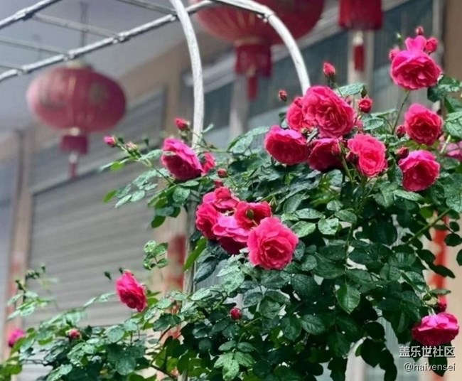 【自駕所見】記錄每一幀