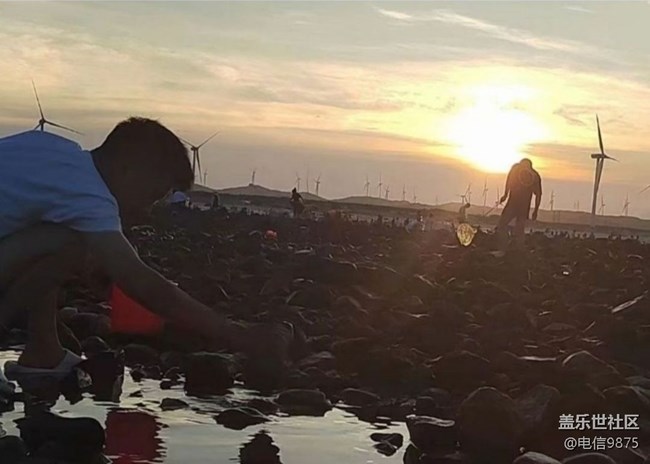 【自駕所見】趕海