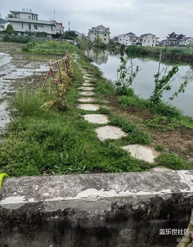 【自駕所見】小面館