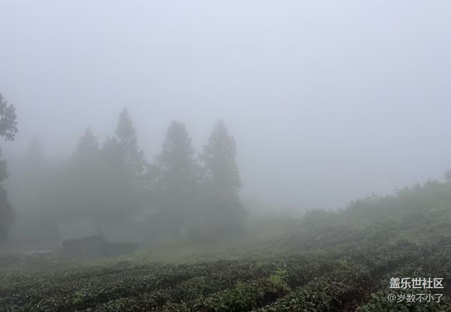 【自駕所見】山頂