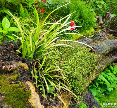 爬個(gè)山，看個(gè)雨