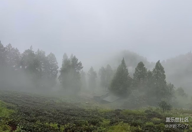 【自駕所見】山頂