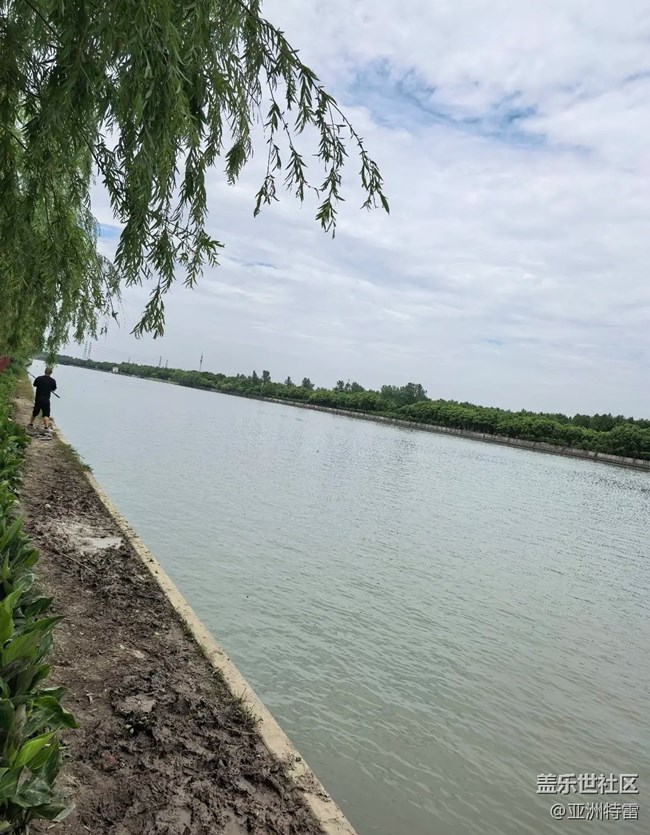 【自駕所見】附近公園