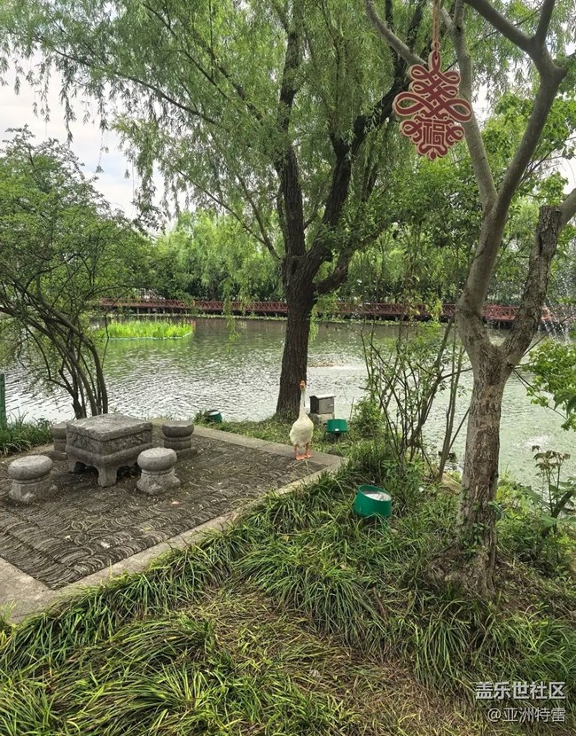 【自駕所見】附近公園