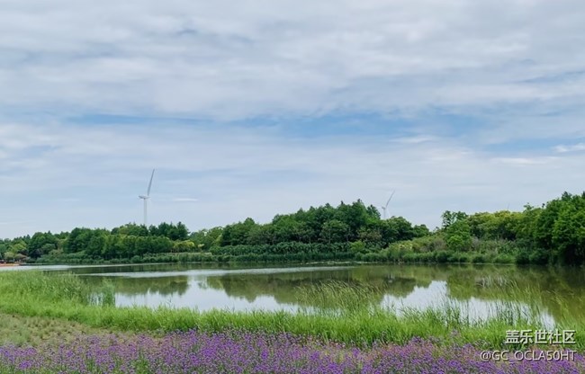 【自駕所見】濕地公園