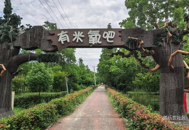 【自駕所見】附近公園