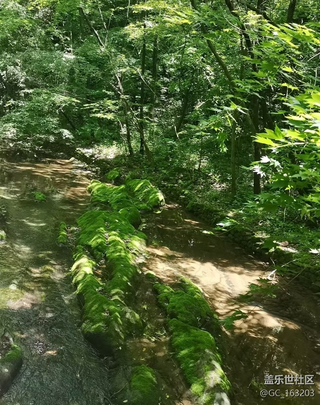 【自駕所見(jiàn)】周末進(jìn)山