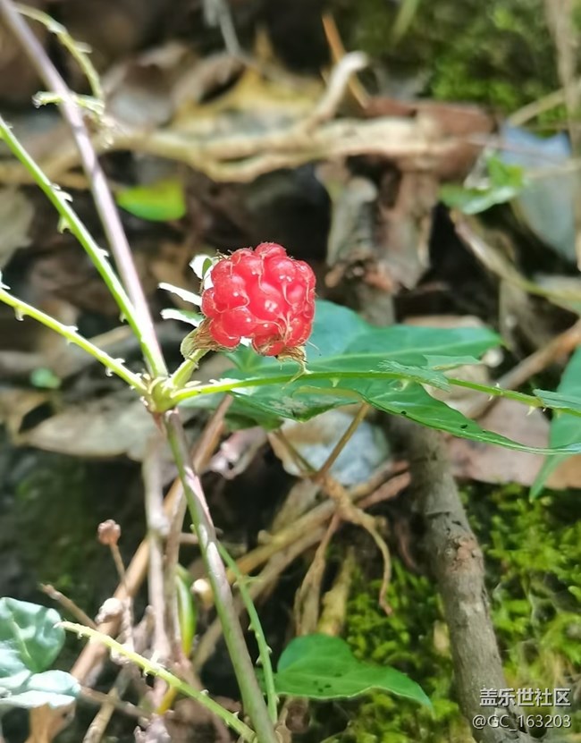 【自駕所見(jiàn)】周末進(jìn)山