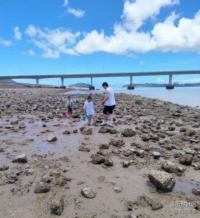 【自駕所見】趕海