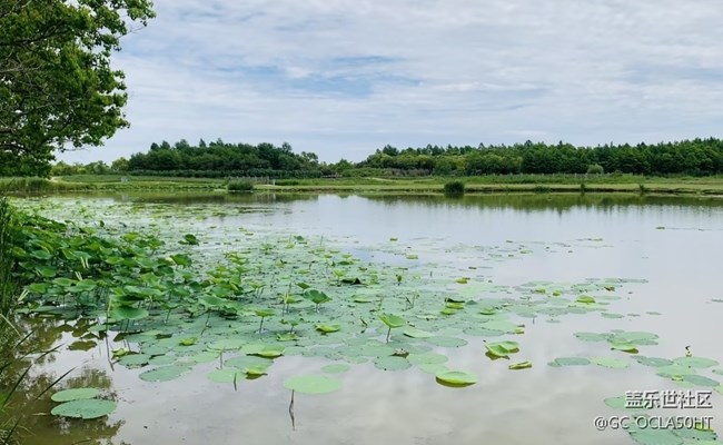 【自駕所見】濕地公園