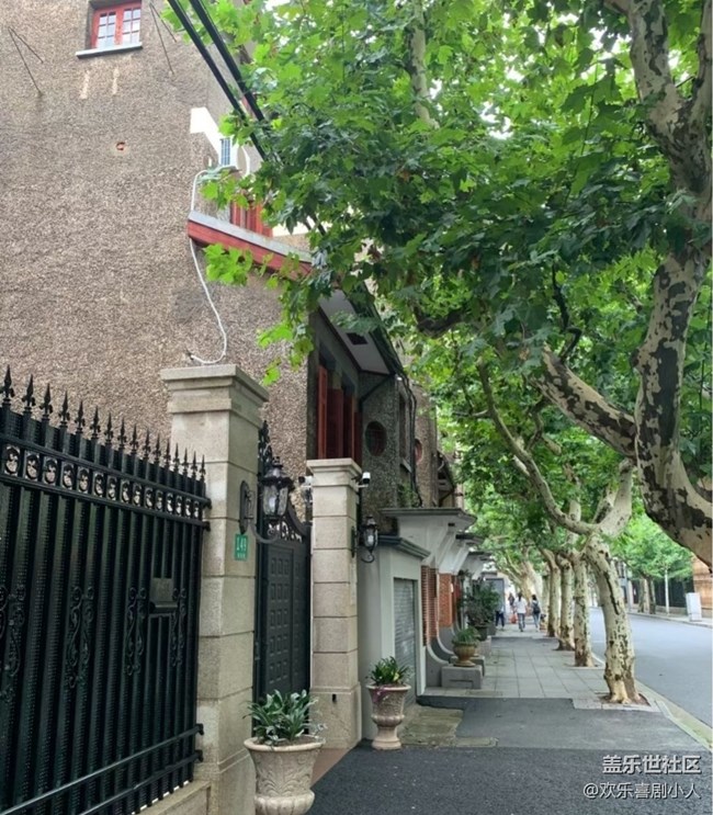 【自駕所見】雨后馬路