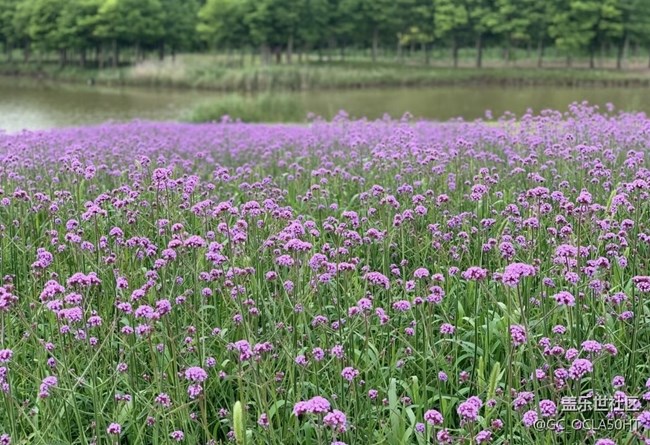 【自駕所見】濕地公園