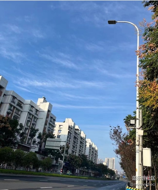 【自駕所見】早晨