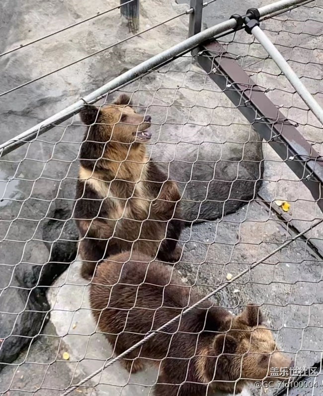 【自駕所見(jiàn)】去動(dòng)物園