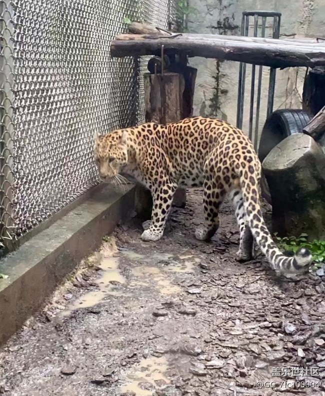 【自駕所見(jiàn)】去動(dòng)物園