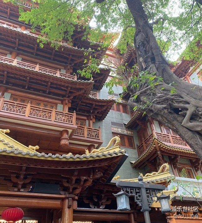 【自駕所見】大佛古寺
