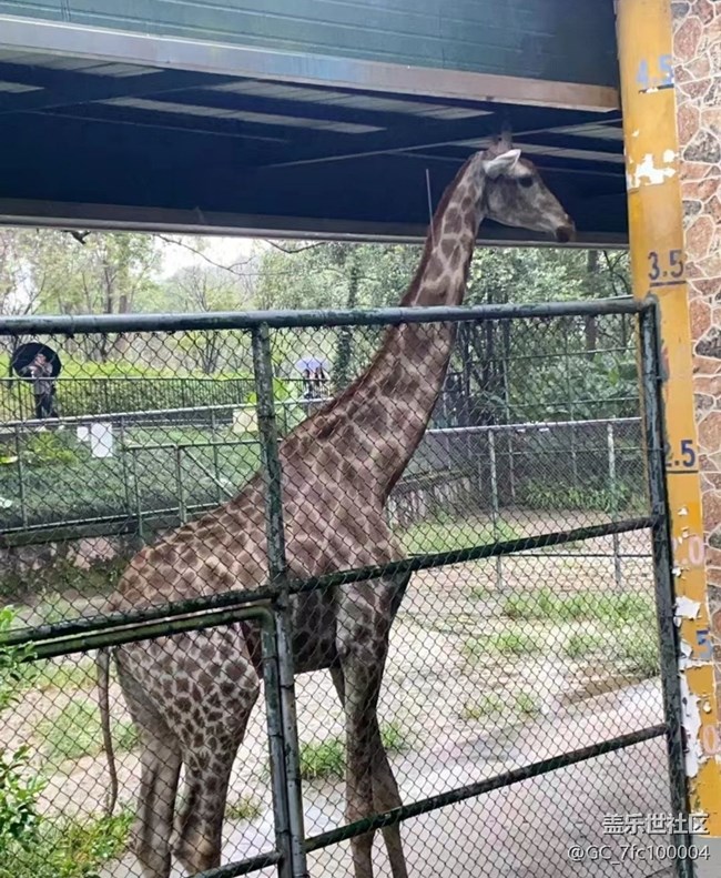 【自駕所見(jiàn)】去動(dòng)物園