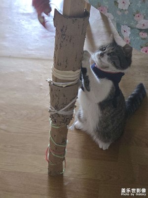 三倍焦距拍照